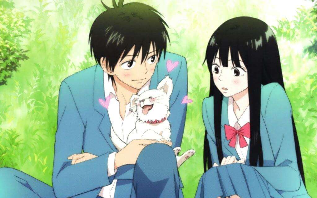 Animes para assistir com sua namorada ❤ #foryoupage #kiminosuizouwota
